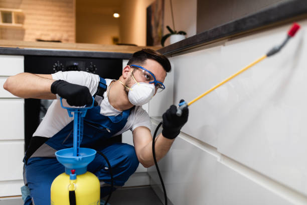 Best Pest Removal Services  in Coal City, IL