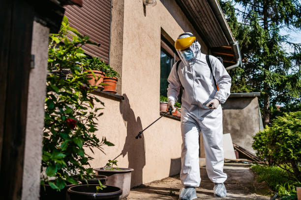 Best Pest Control Treatment  in Coal City, IL